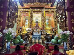Giao Tượng Cô Chiến Xinh đẹp